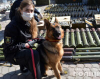 На Донетчине нашли огромный тайник с оружием в бывшем детском лагере