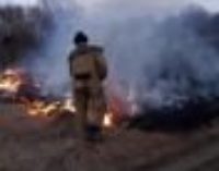 В Украине могут увеличить штрафы за сжигание листьев и сухой травы