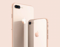 Apple пустила под нож iPhone 8 и «незаменимый» iPhone 8 Plus