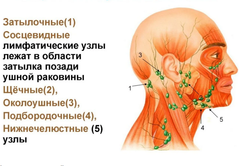 Эксперсс-метод снятия отечности